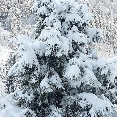 アパート A La Montagne ,vue Sur Les Pistes *