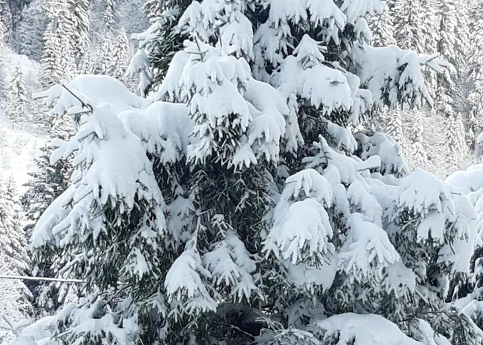 Apartmán A La Montagne ,vue Sur Les Pistes *